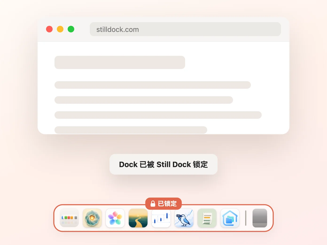 Still Dock 的窗口,隐藏与显示锁定开启,其余三项关闭