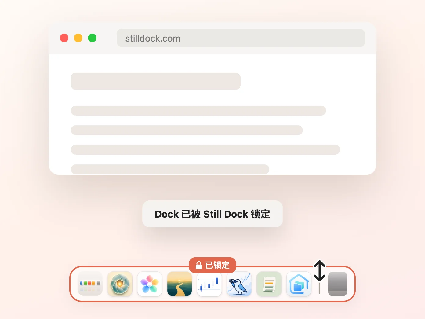 Still Dock 的窗口,大小锁定开启,其余三项关闭