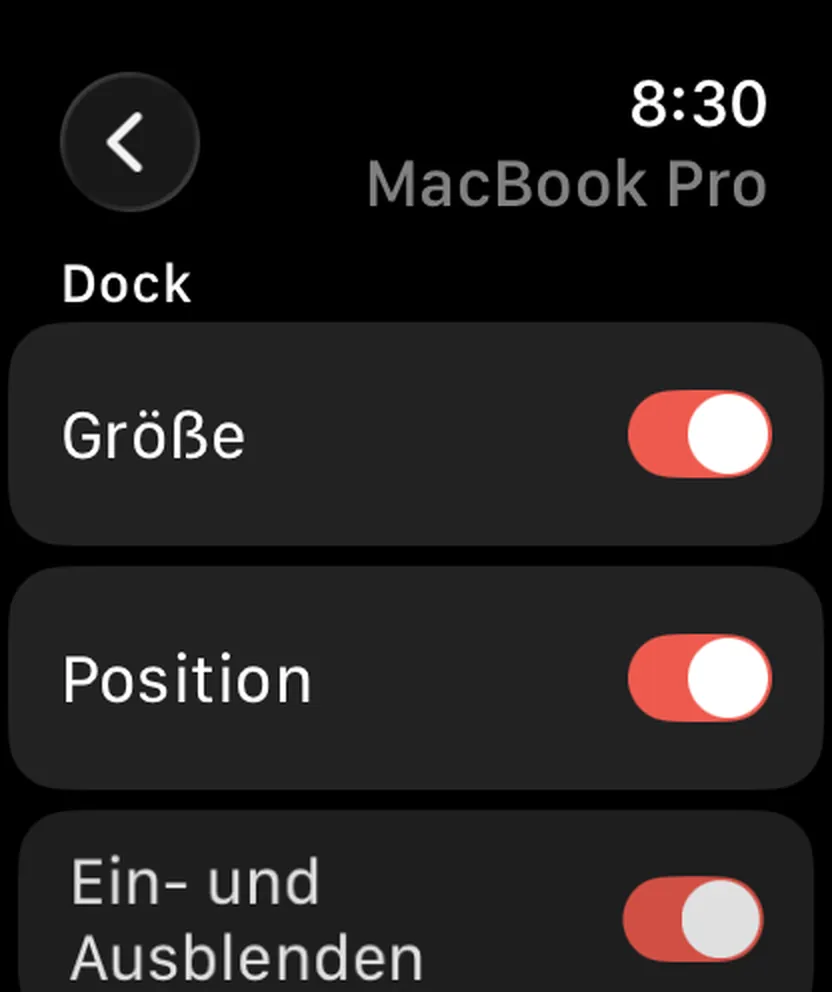 Still Dock auf einer Apple Watch, mit denselben Schaltern