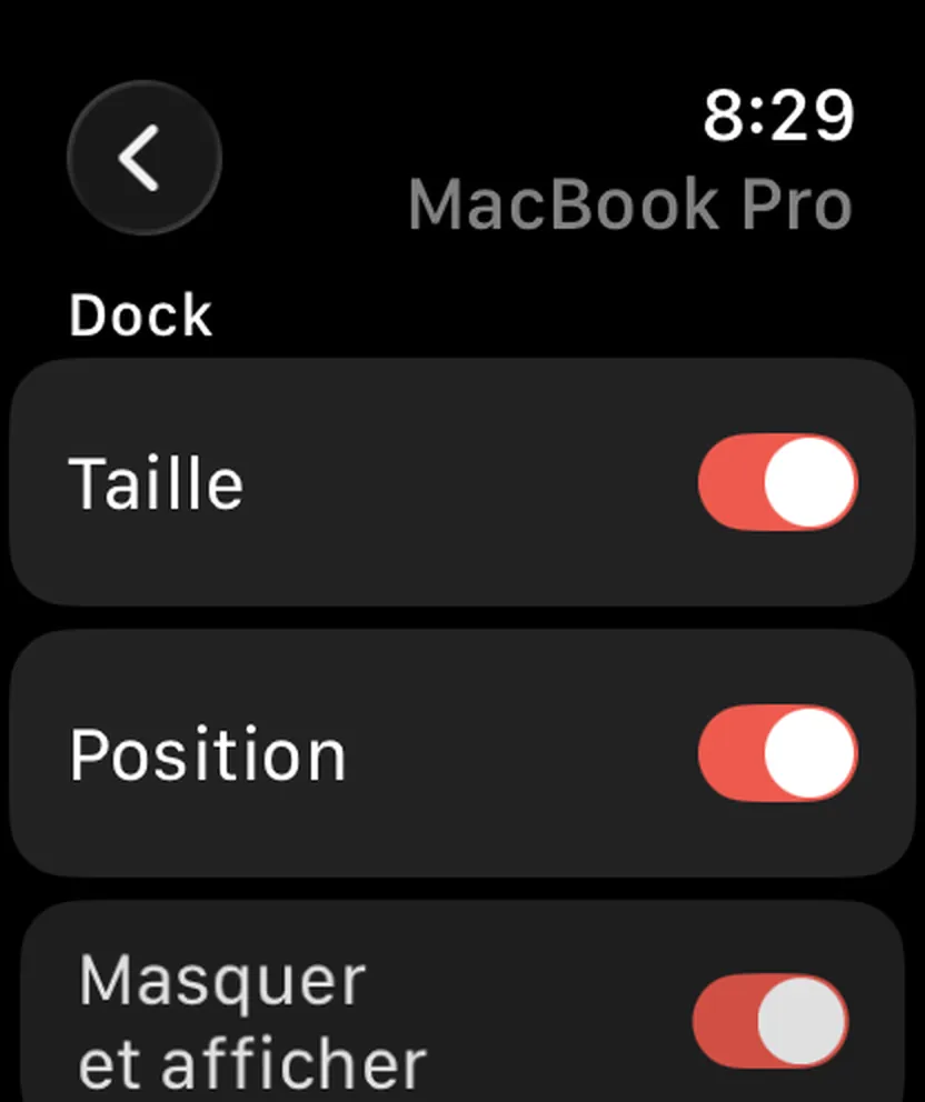 Still Dock sur une Apple Watch, avec les mêmes interrupteurs