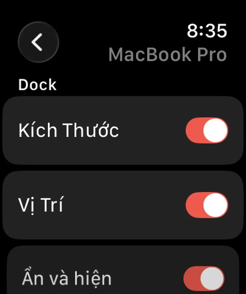 Still Dock trên Apple Watch, với các công tắc tương tự
